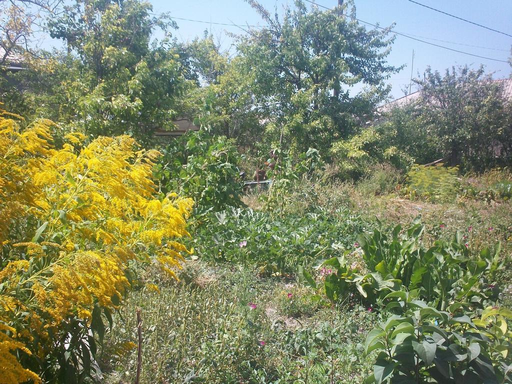 Barseghyan's Guest House Vardenis Bagian luar foto